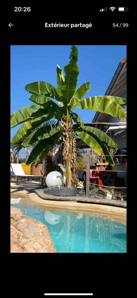 A La Marc'Quize Chambres D'Hotes, Petit Dejeuner Compris, Avec Piscine A Debordement En Exterieur, Bain Nordique A 38 Degres En Prestation Supplement Sur Reservation Horaire Anticipee 1 Place De Parking Gratuite Sur Place 姆克西 外观 照片